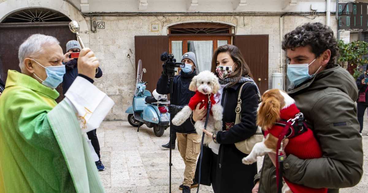 Bari, la "benedizione degli animali": un'antica tradizione nel segno di Sant'Antonio Abate 